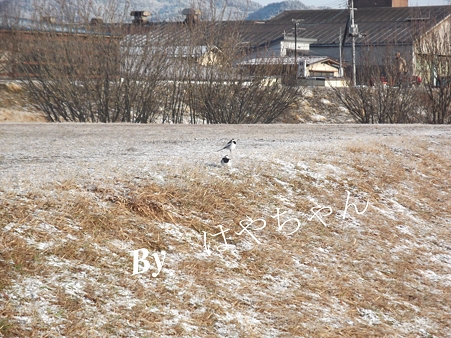 2012年4月1日 早朝