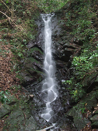小荘の滝　2011.6.12
