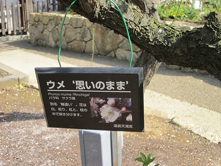 思いのまま