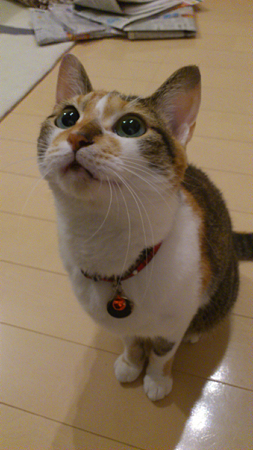 2011092201
