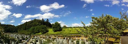 iP110918_009