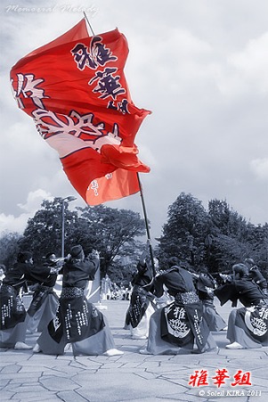雅華組_18 - ザ・よさこい大江戸ソーラン祭り2011