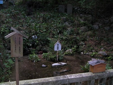 菊水泉