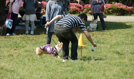 DSC05839