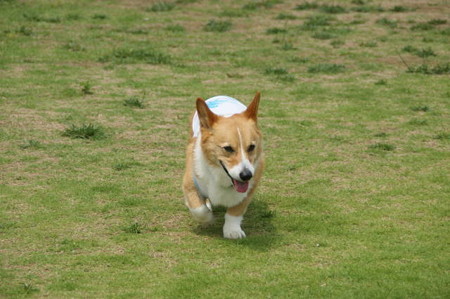 DSC06253