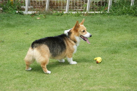 DSC06327
