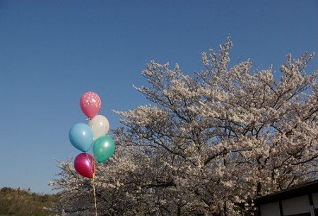 IMGP0174_0408a