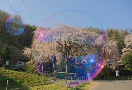 IMGP0269_0408a