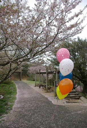 IMGP0116_0415