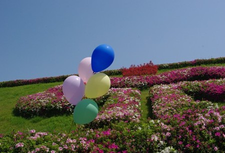 IMGP0517_0505