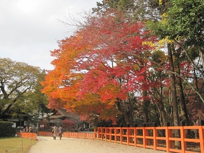 紅葉の上賀茂神社