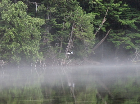 P7229964