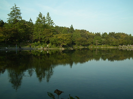 昭和記念公園 672