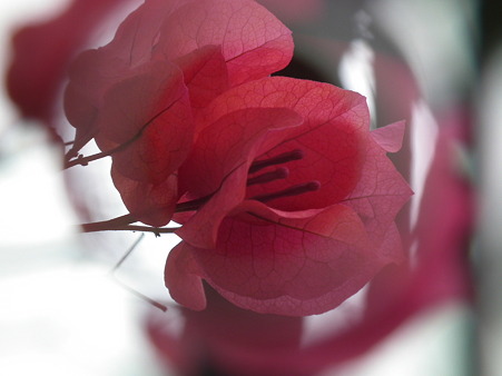 DSCF0106