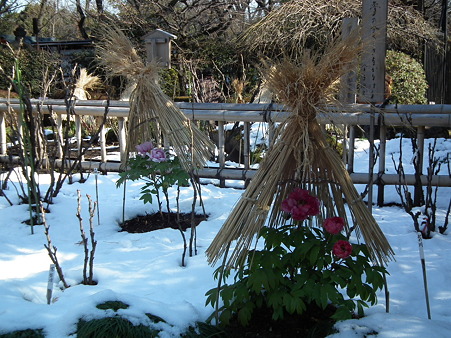 DSCF0263
