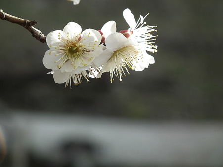 DSCF0191