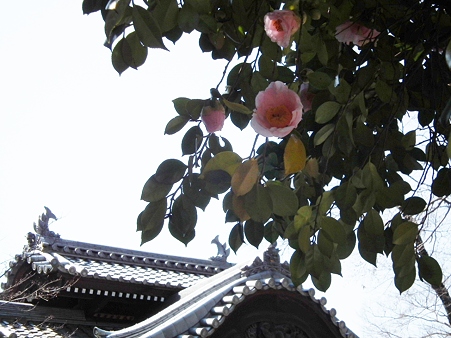DSCF0095