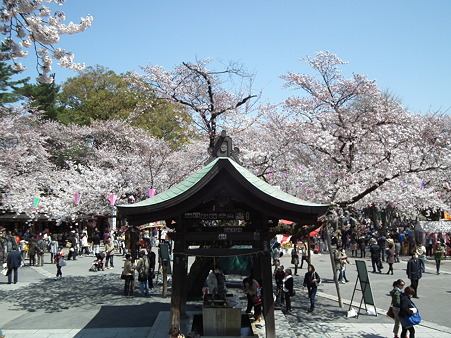 DSCF0082