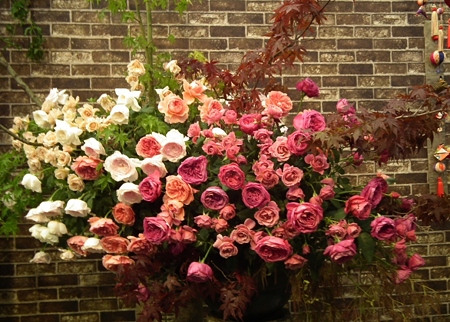 DSCF0910