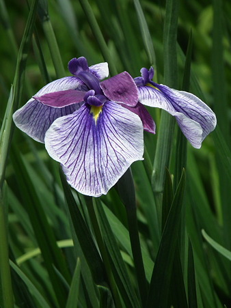 DSCF0140