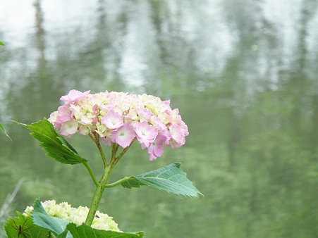 DSCF0573