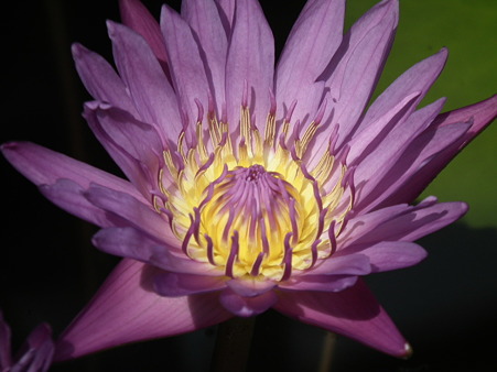 DSCF0350