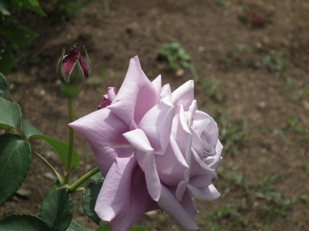 DSCF0080