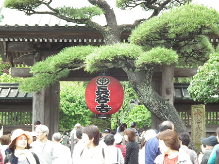画像 177