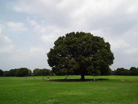 昭和記念公園 222