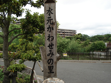 水元かわせみの里