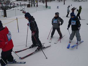 IMGP2226_R