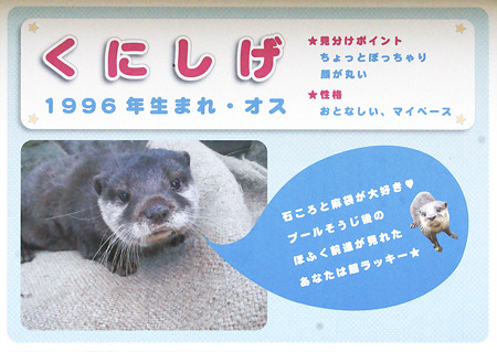 hirakata110917041