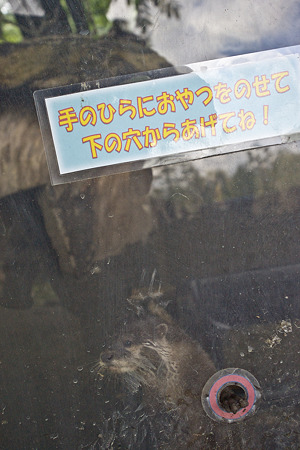 northsafari110705167