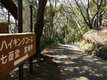 岩本山ハイキングコース