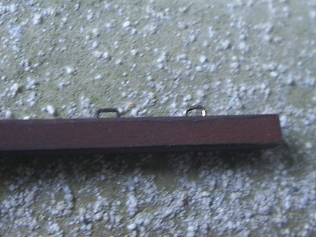 IMGP6494