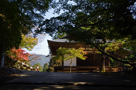神護寺参道
