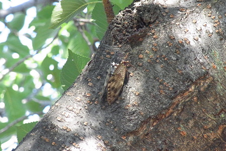 R0012502
