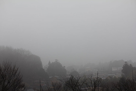 雨の朝