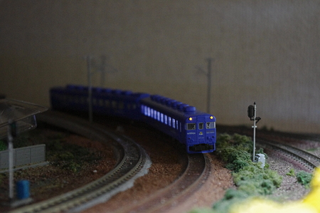 IMGP1553