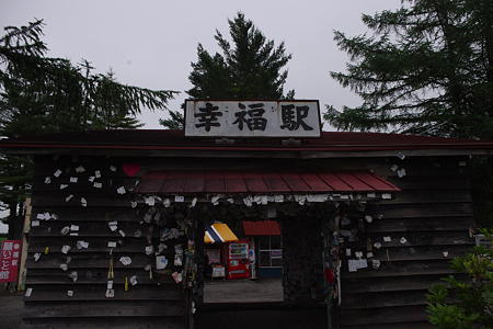 IMGP2448