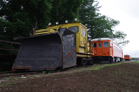 IMGP2460
