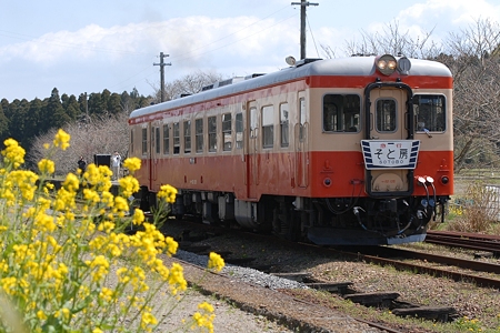 D20_4241