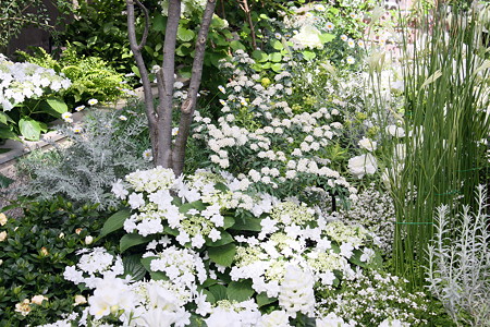 白の花園
