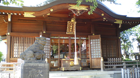 IMGP5539