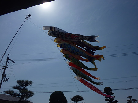 P1010817