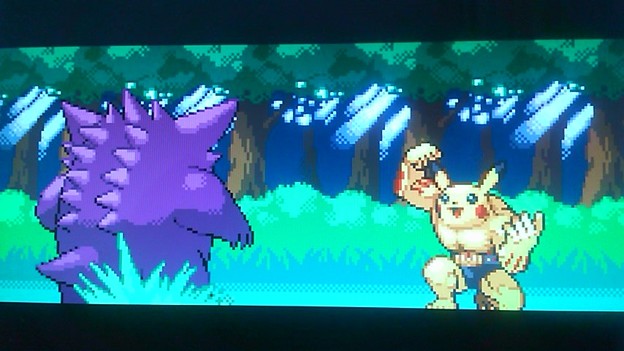 ゴリチュウ ピカチュウがな 写真共有サイト フォト蔵