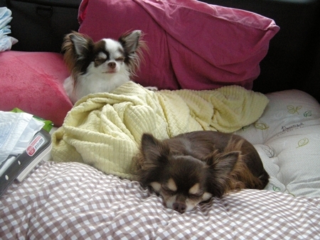 DSCN0775