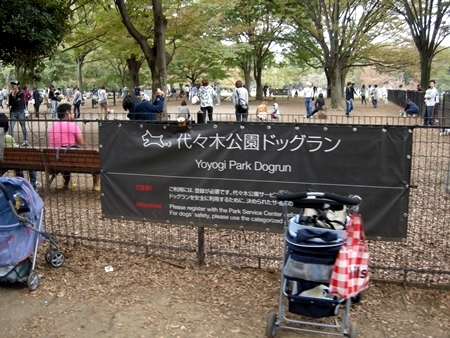 DSCN0975
