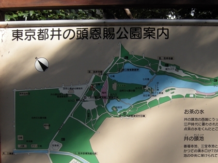 DSCN1177