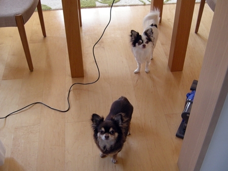 DSCN2214 (2)